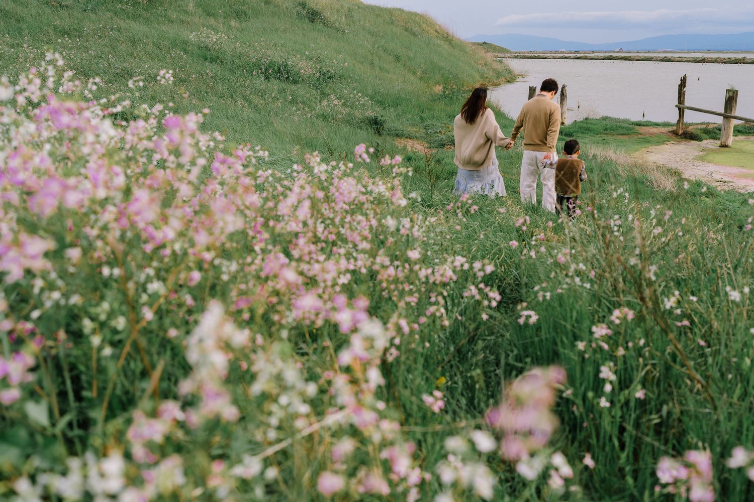 Pink wildflowers bloom in a green meadow overlooking a scenic mountain lake on a sunny day.