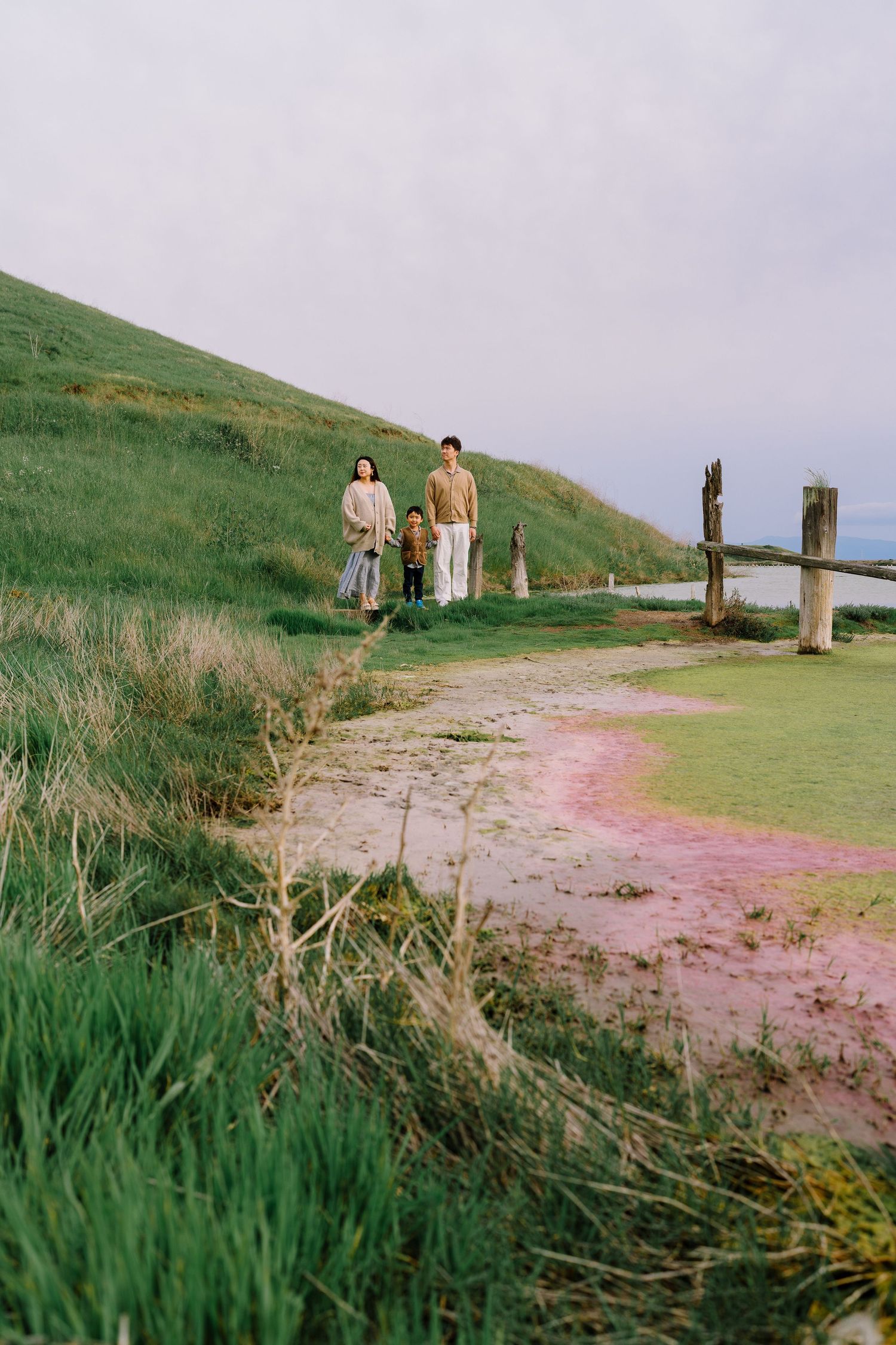 A series of four connected photos showing people walking along a grassy coastal path with wooden posts.