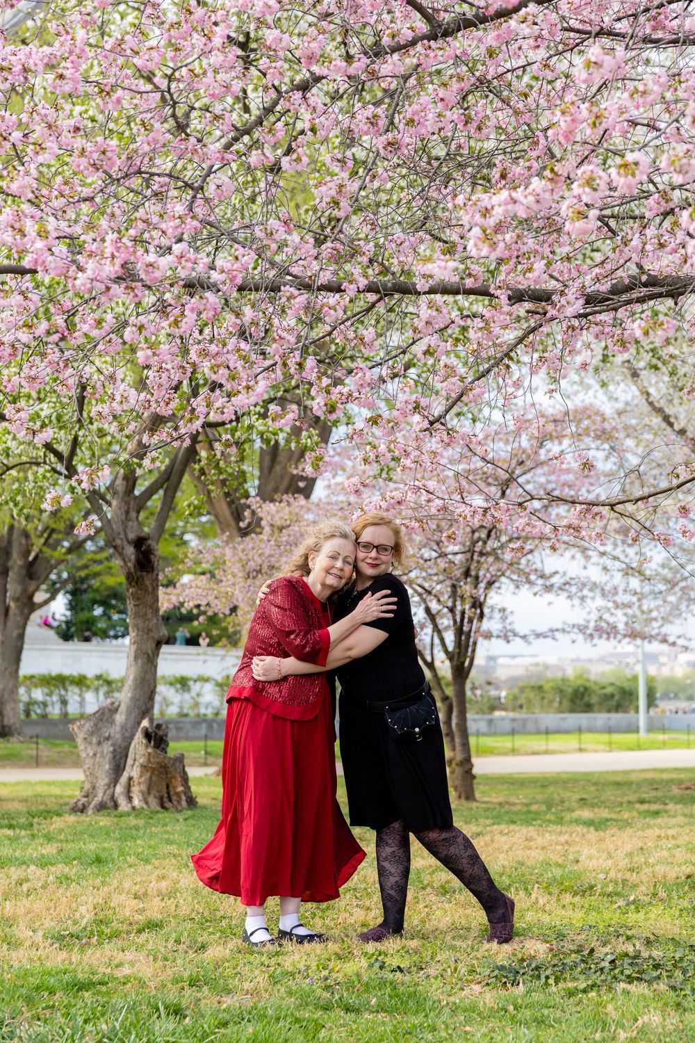 Couple poses under blooming cherry blossom trees in a park during spring with one wearing a red dress.