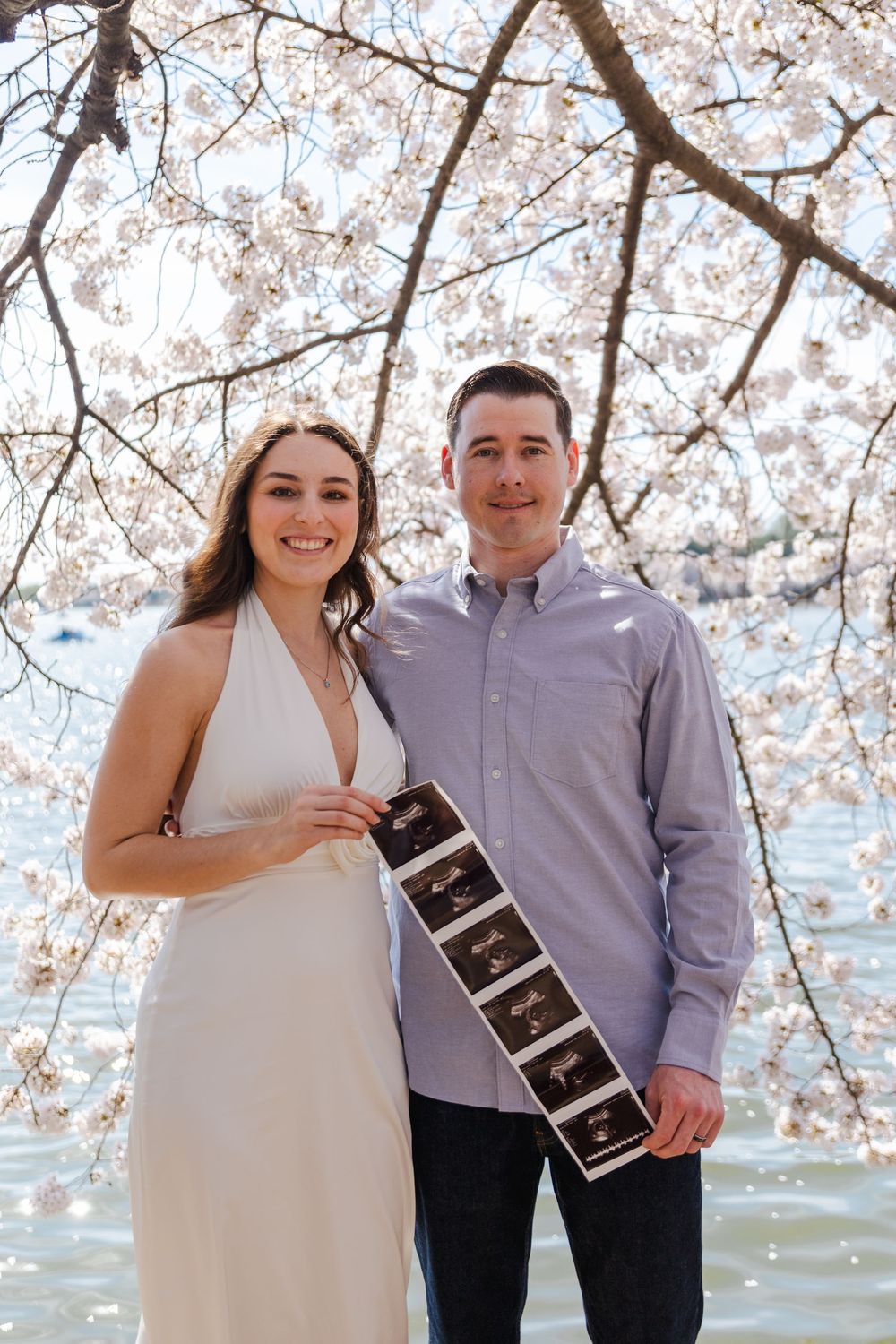 Couple stands beneath cherry blossoms holding ultrasound photos during pregnancy announcement photoshoot.