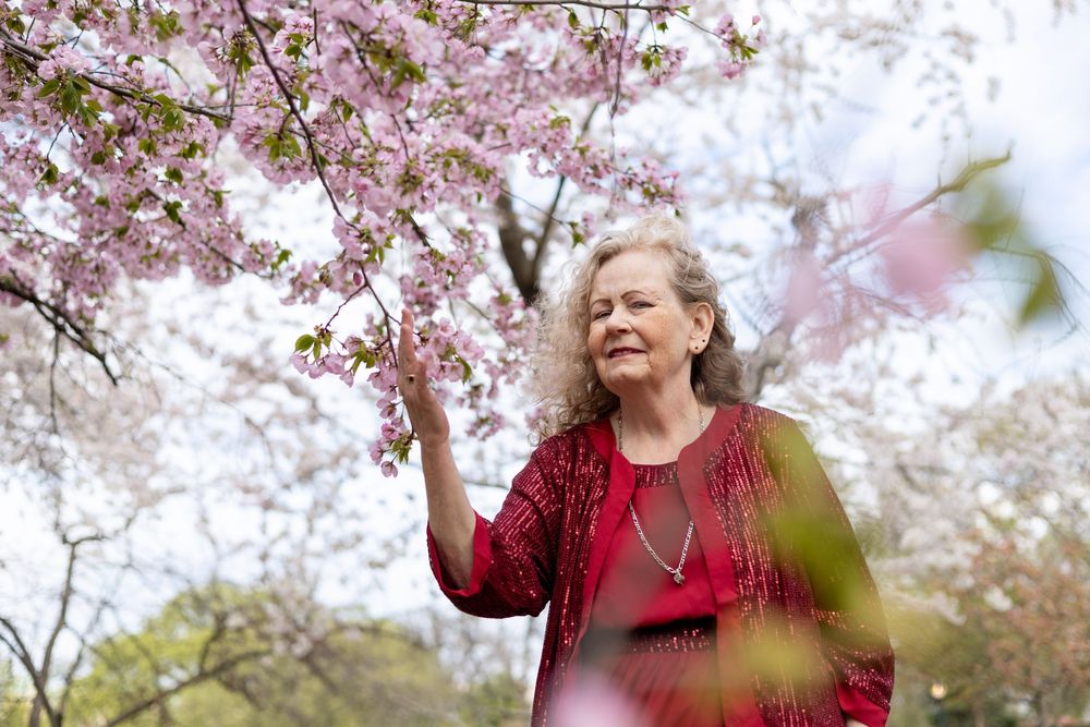 Senior woman enjoying spring day beneath blooming cherry blossom branches.