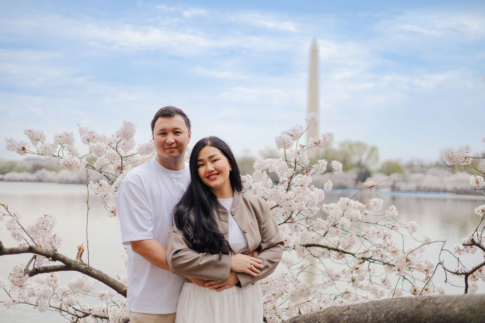 Cherry blossom trees frame scenic view of Washington Monument across the water.