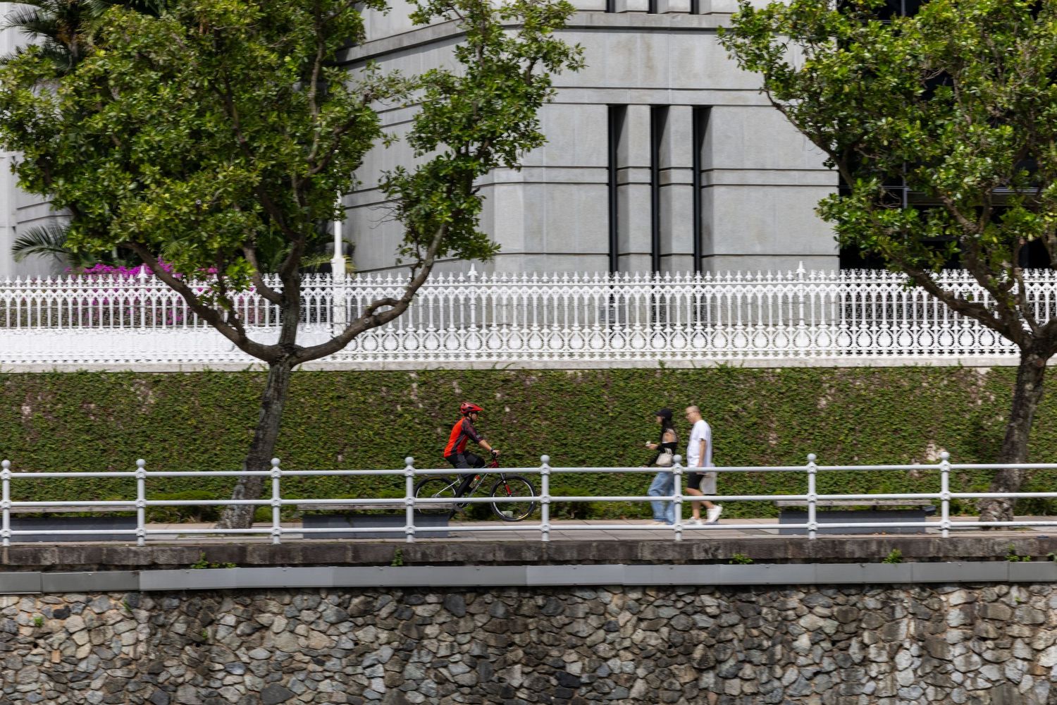A white picket fence lines a path beside a stone wall with trees and shrubs in a garden setting.