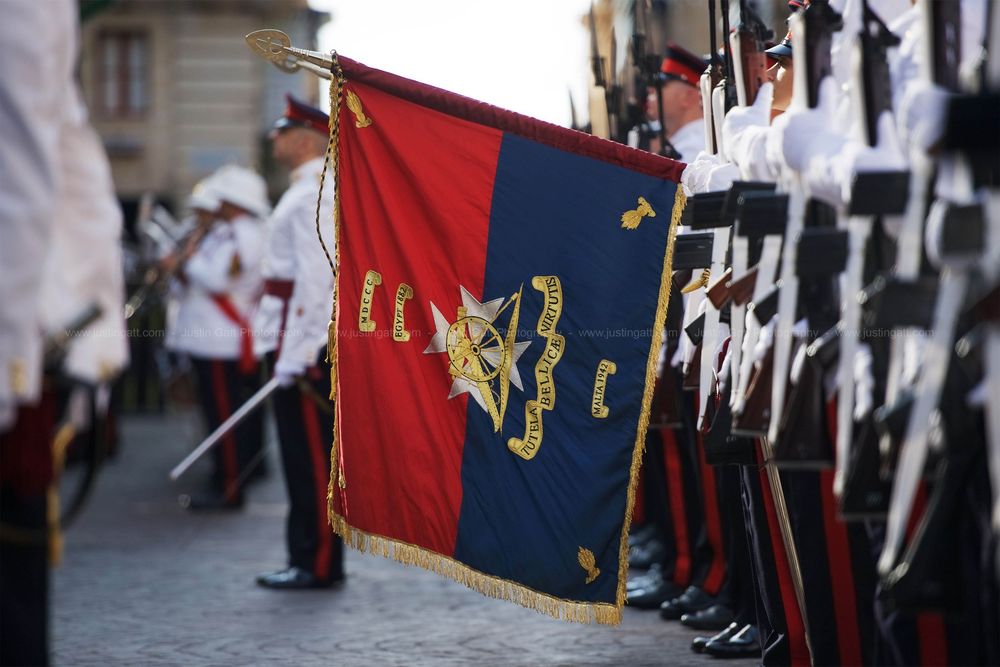 Military ceremonial flags and banners displayed in formation during formal parade.