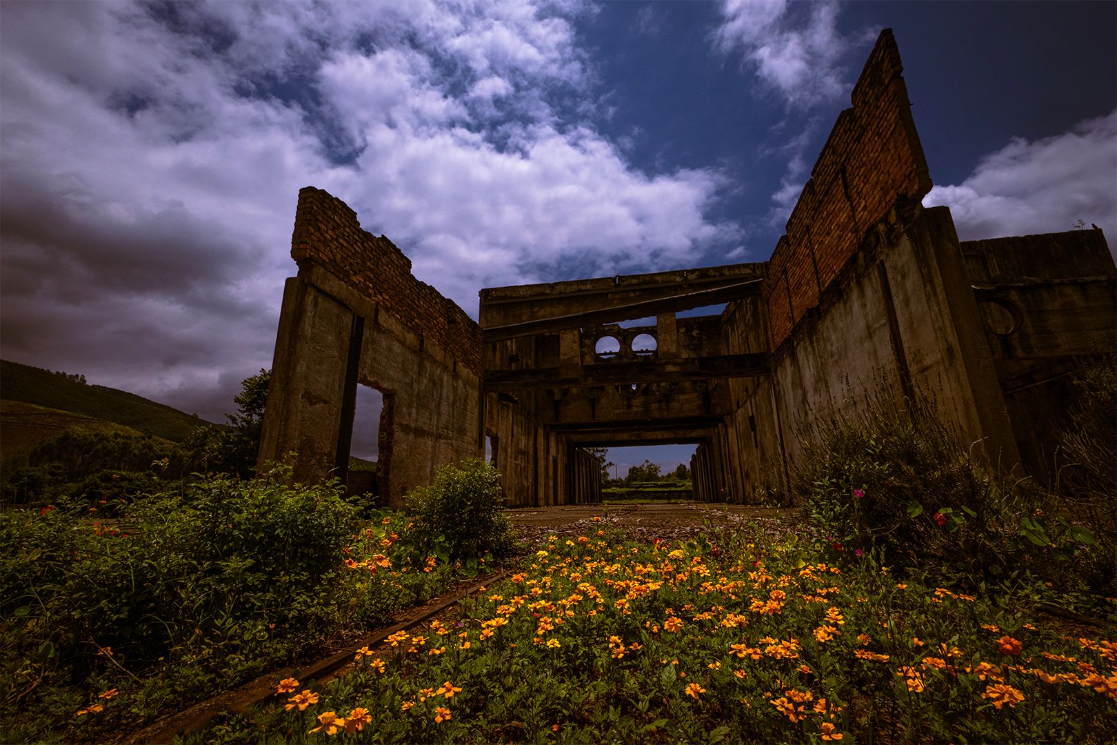 Low down photograph of a mill dilapidated building with f/16 blue skies and fluffy clouds. Flowers in the foreground add interest.