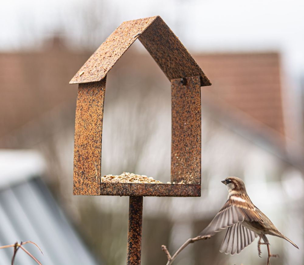 A sparrow landing on a rustic metal bird feeder filled with seeds on a pole outdoors.