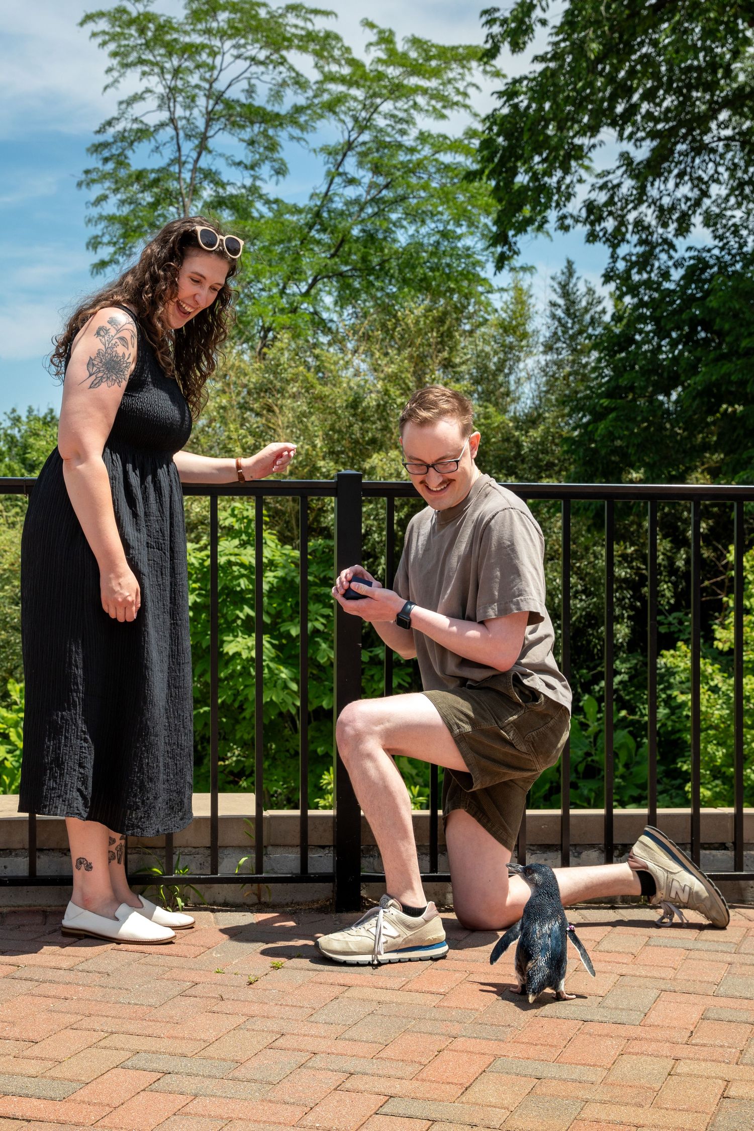 Chad gets down on one knee during a private penguin encounter to surprise Teresa with a proposal at the Cincinnati Zoo.