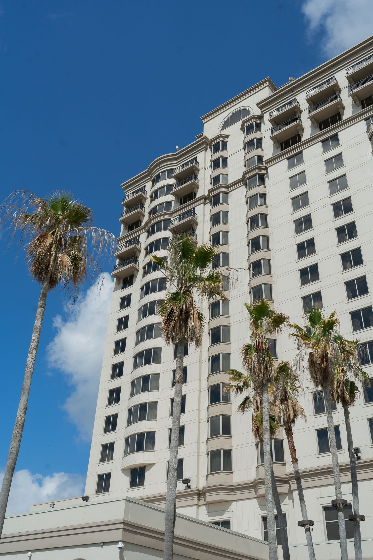 Tall white luxury hotel building with palm trees against a bright blue sky in a coastal city.