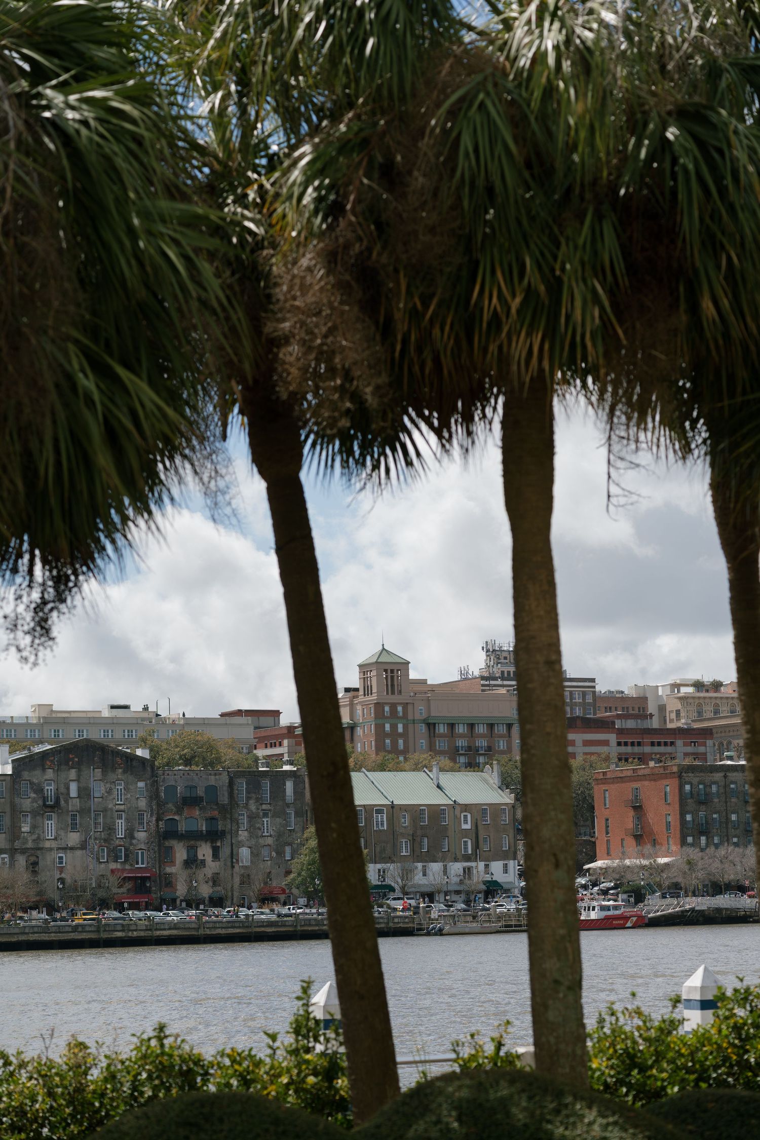 Palm trees frame a scenic waterfront view of historic buildings and a marina under a partly cloudy sky.