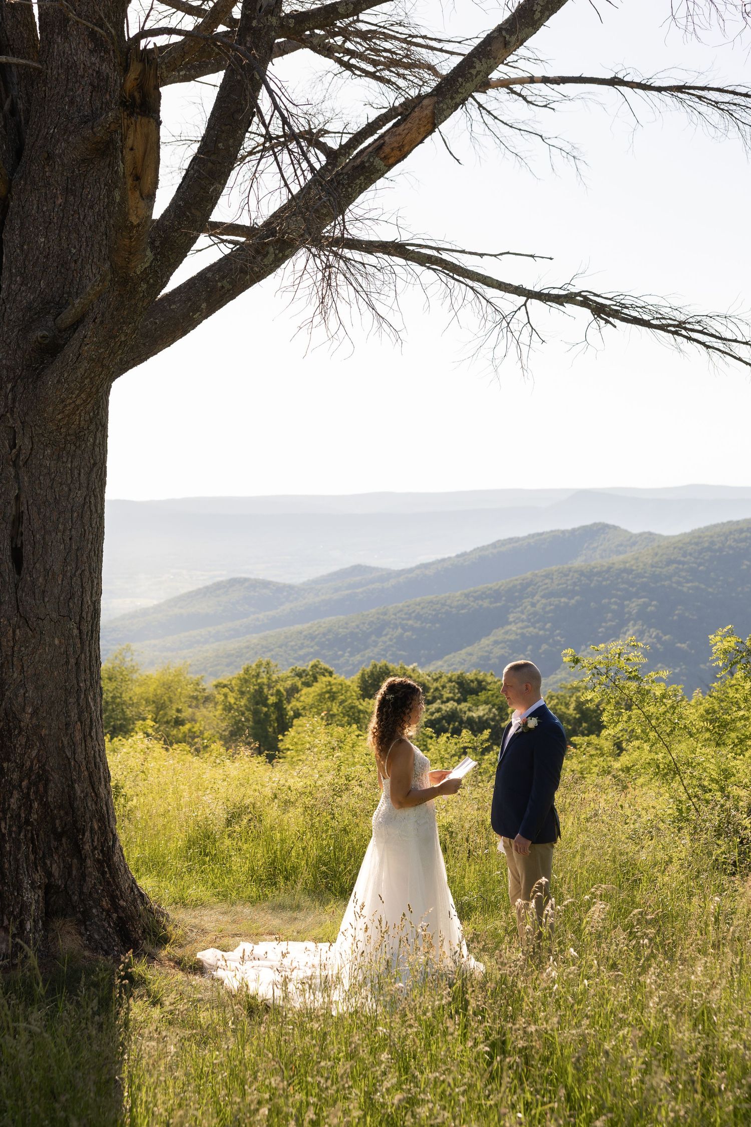Bride and groom exchange vows under a tree at Pass Mountain Overlook with scenic mountain views in background during their elopement.