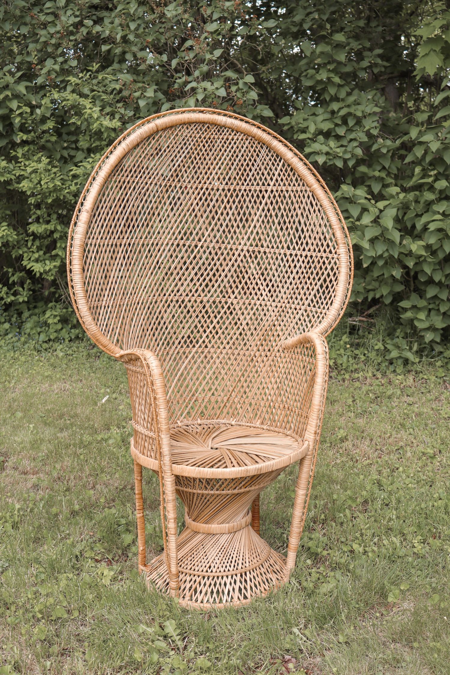Vintage peacock chair with high fan back and woven rattan design sits on green lawn against hedge background.