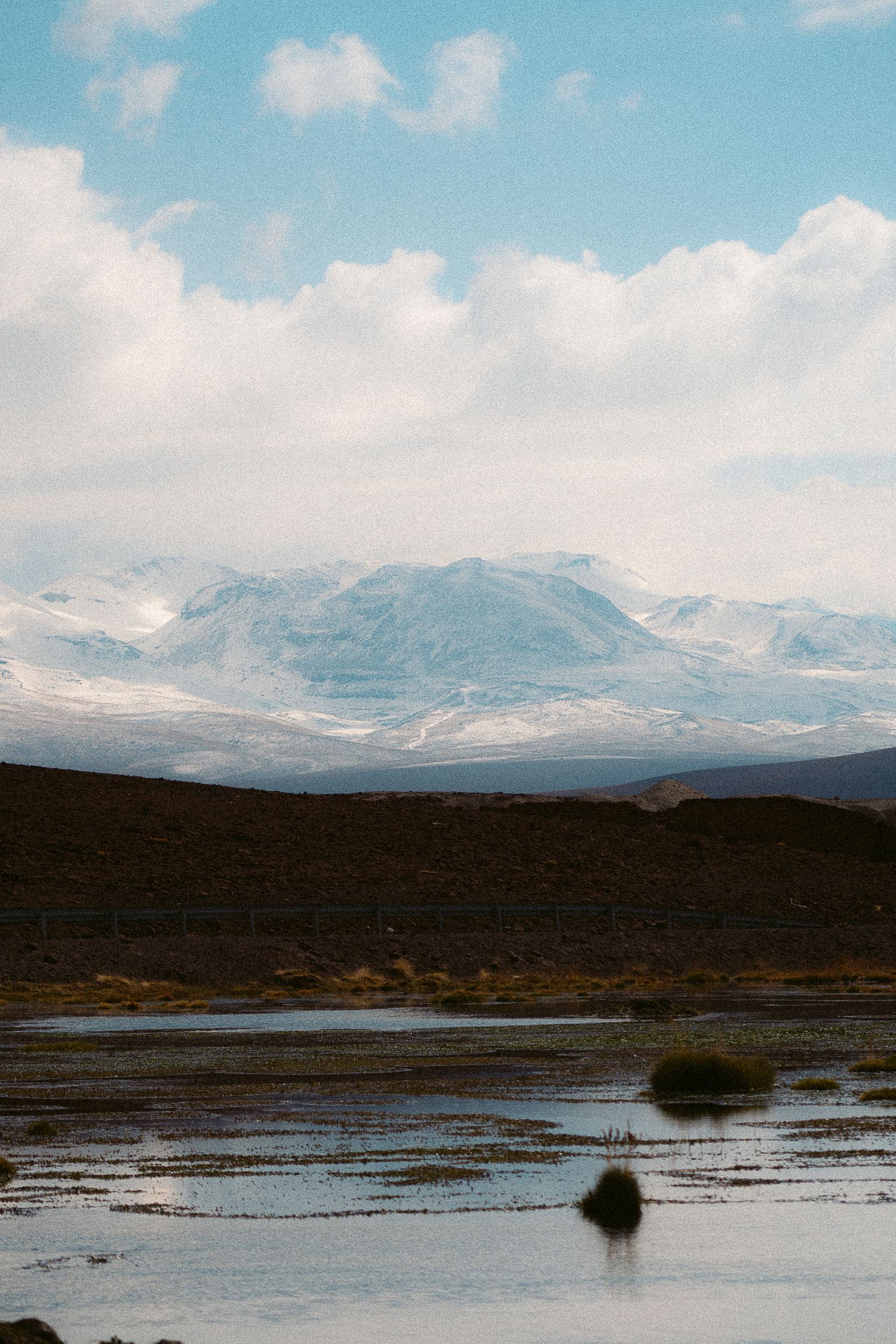 Snow-capped mountains rise above a wetland landscape under blue skies.