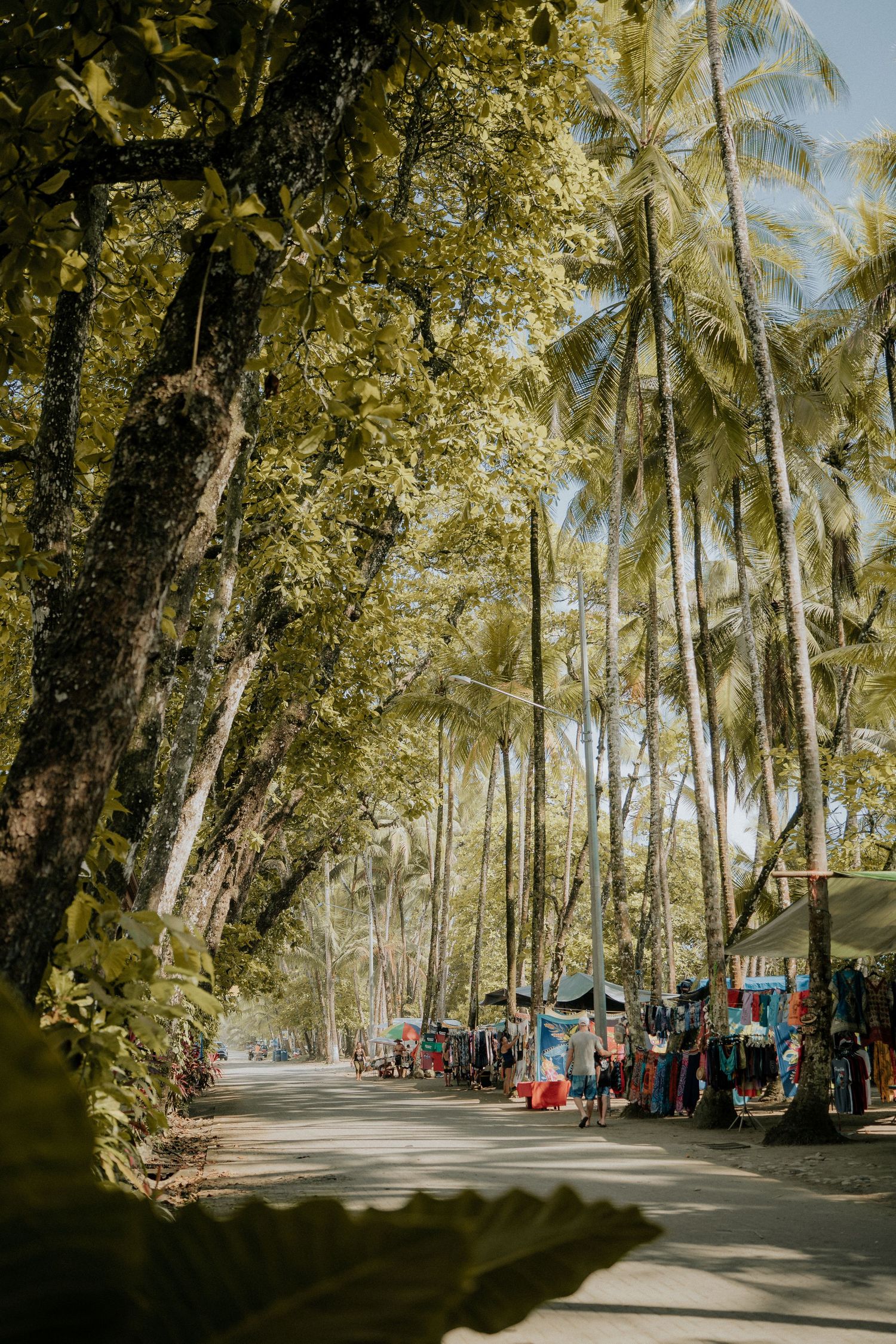 Palm tree-lined pathway with market stalls and vendors in tropical setting.