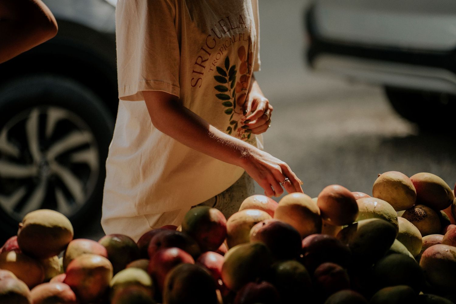 Hands sorting and preparing fresh produce at outdoor market stand.