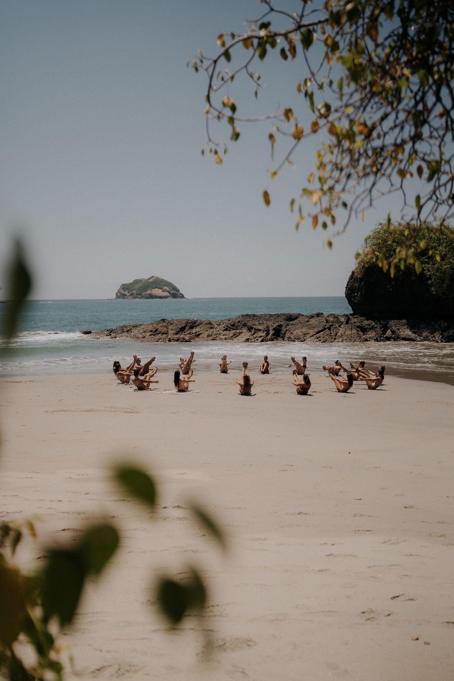 A flock of chickens gather on an empty tropical beach with a small island visible in the distance.