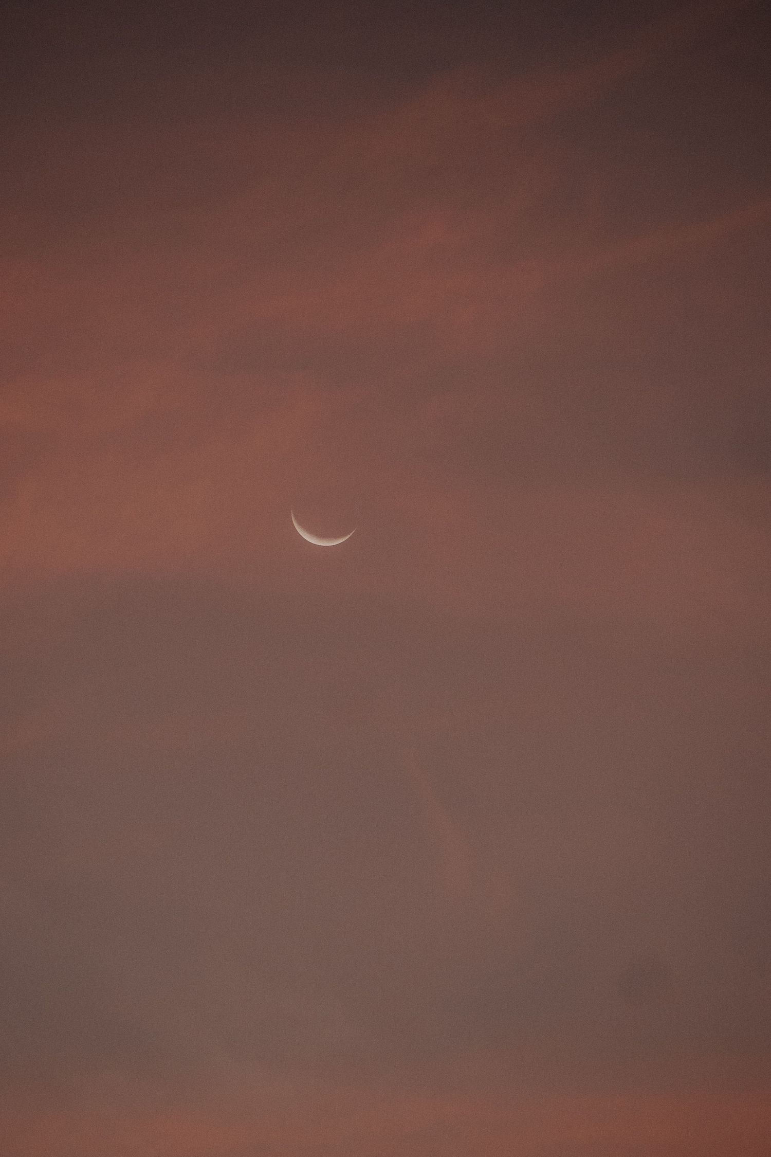 Crescent moon visible in dusky pink sky with clouds.