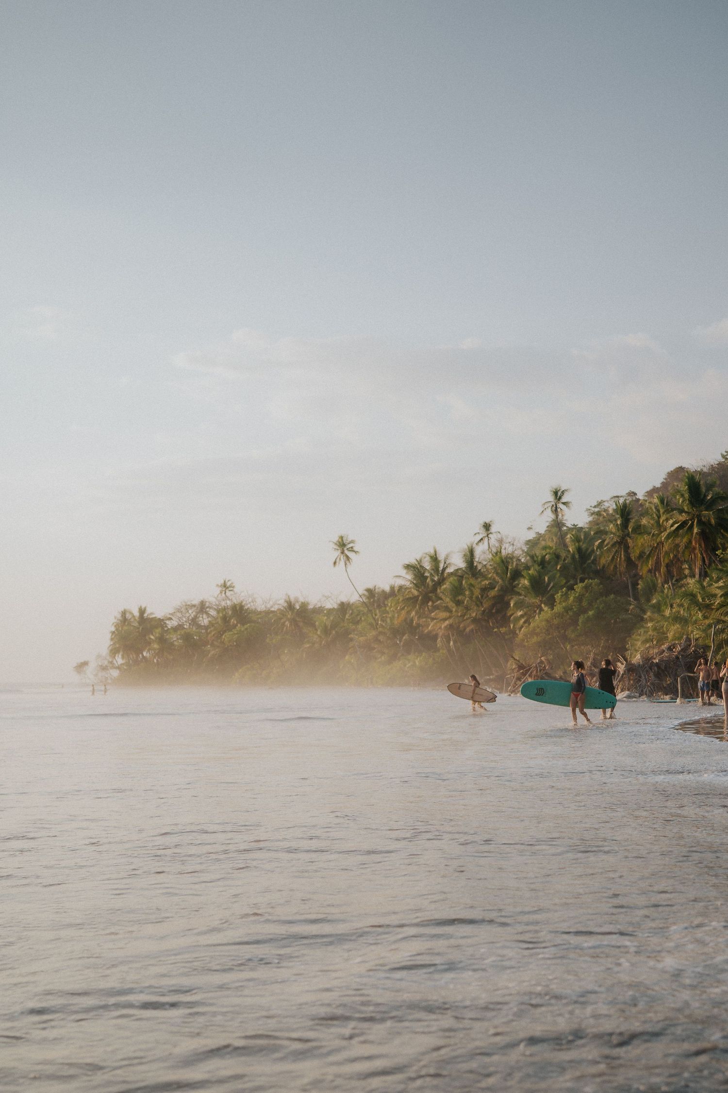 Misty tropical coastline with palm trees and surfers in the distance during golden hour.
