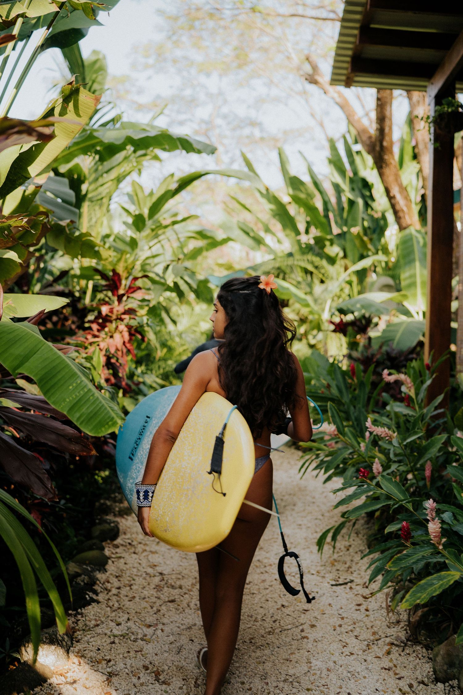 A person carries a yellow surfboard through lush tropical foliage on a gravel path.