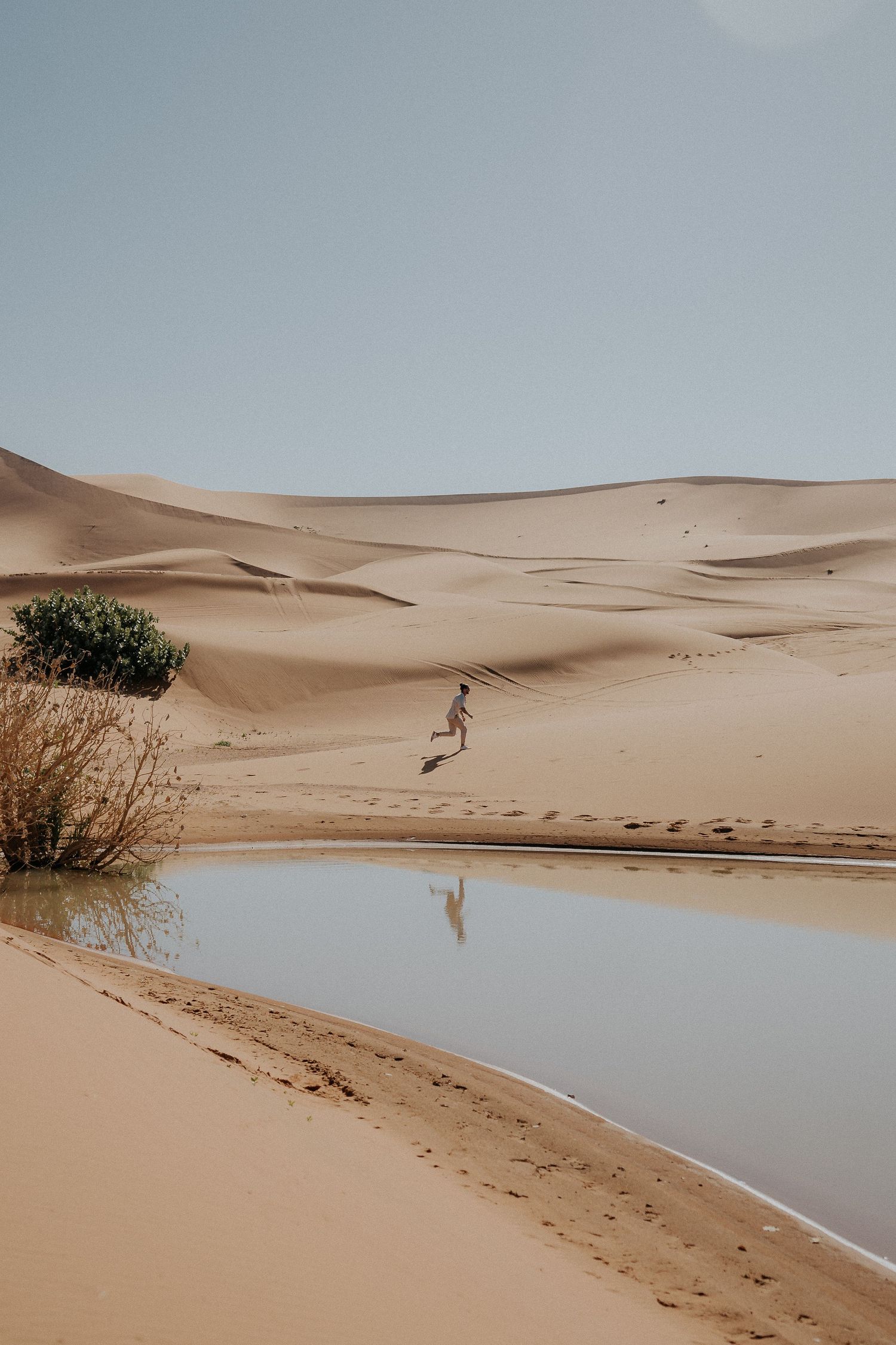 Solitary figure reflected in desert oasis water surrounded by sand dunes.