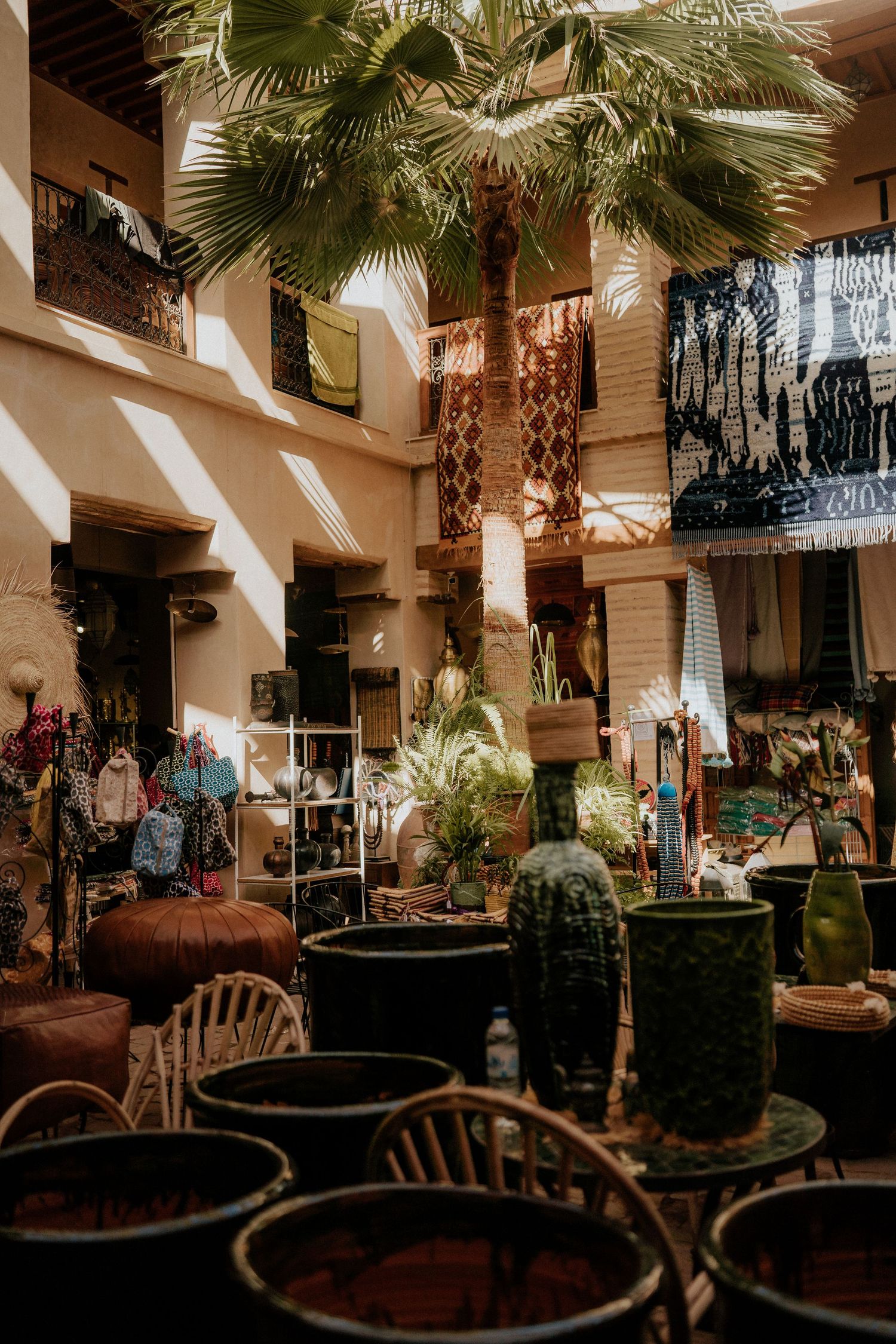 Tropical indoor space with palm trees and rattan furniture creating a resort atmosphere.