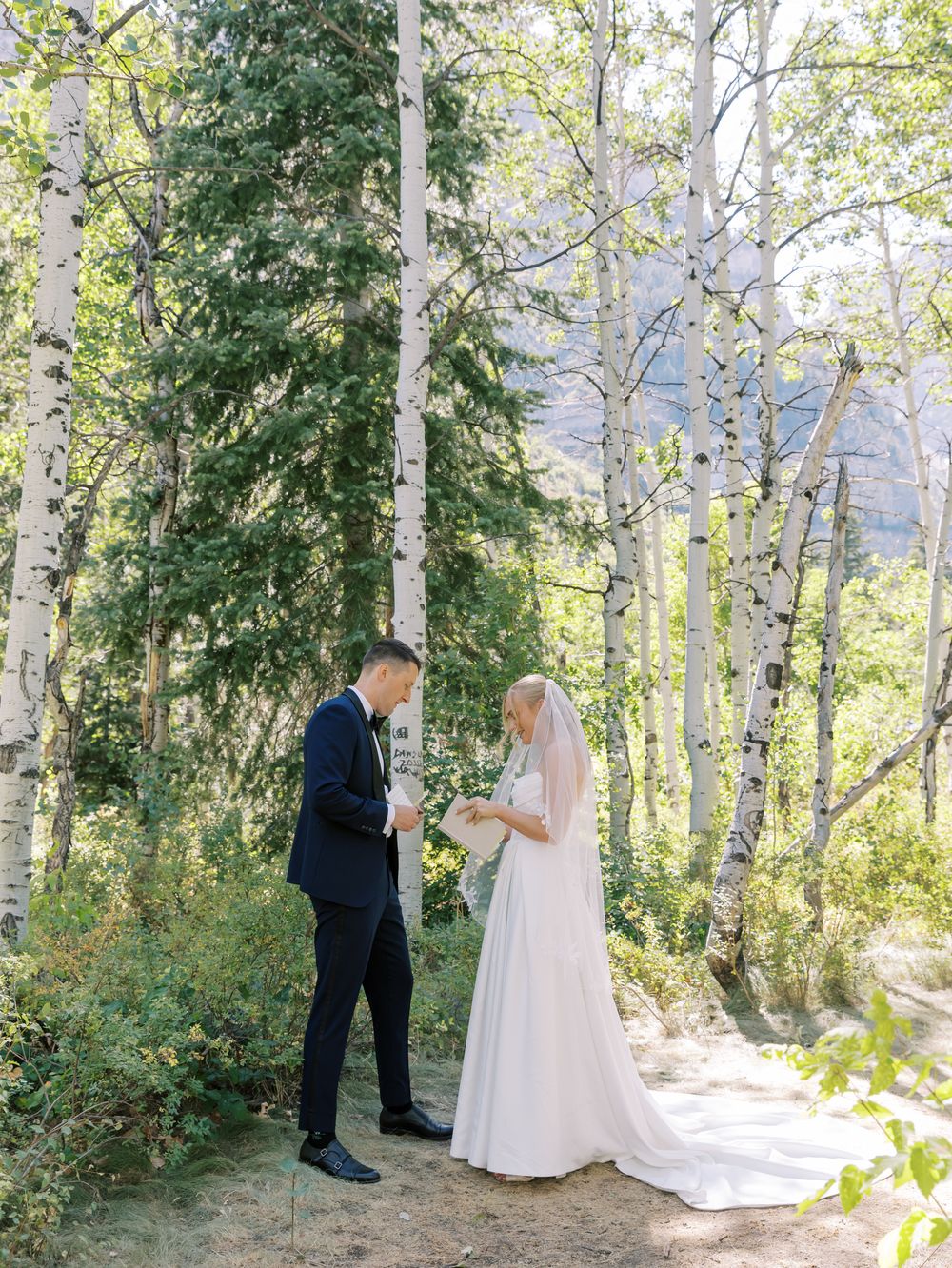 A wedding ceremony takes place in a scenic birch grove surrounded by mountain scenery.