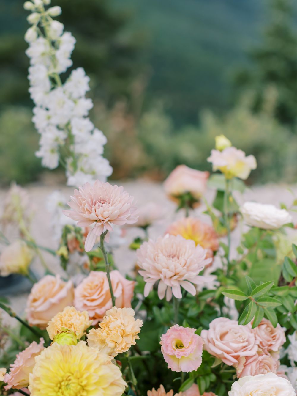 Soft pastel flowers including dahlias and roses in peach, pink and yellow colors bloom in a garden setting.