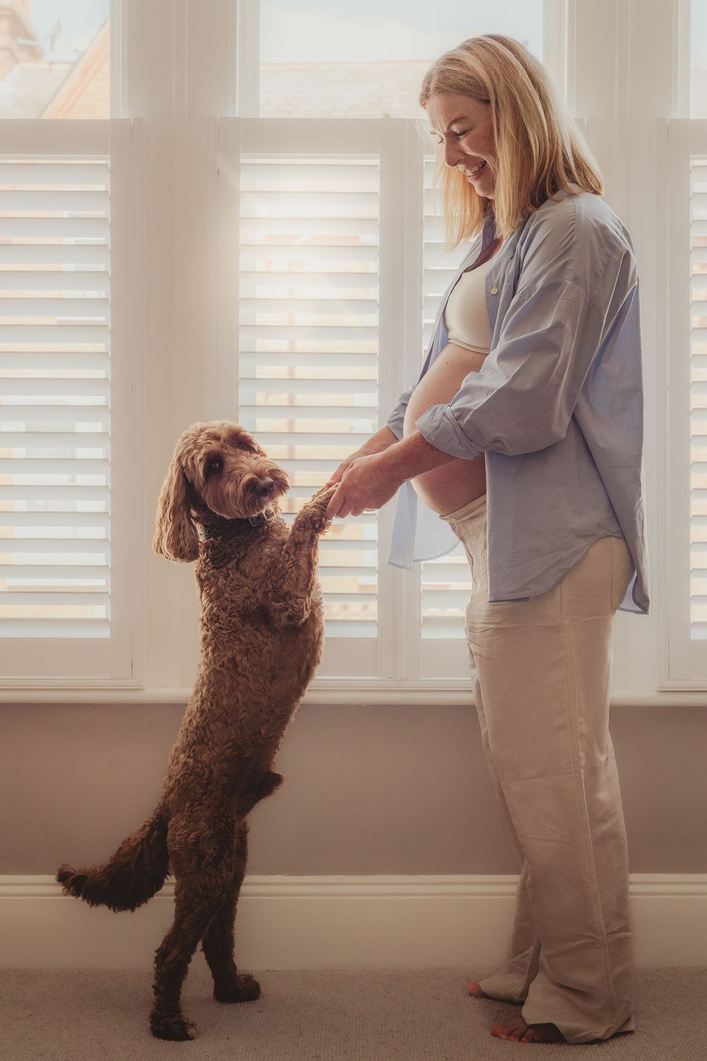 Brown dog stands on hind legs to greet expectant mother by window with white shutters.