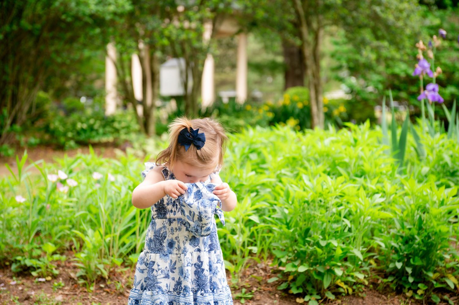 Garden portrait session surrounded by blooming flowers and lush greenery.