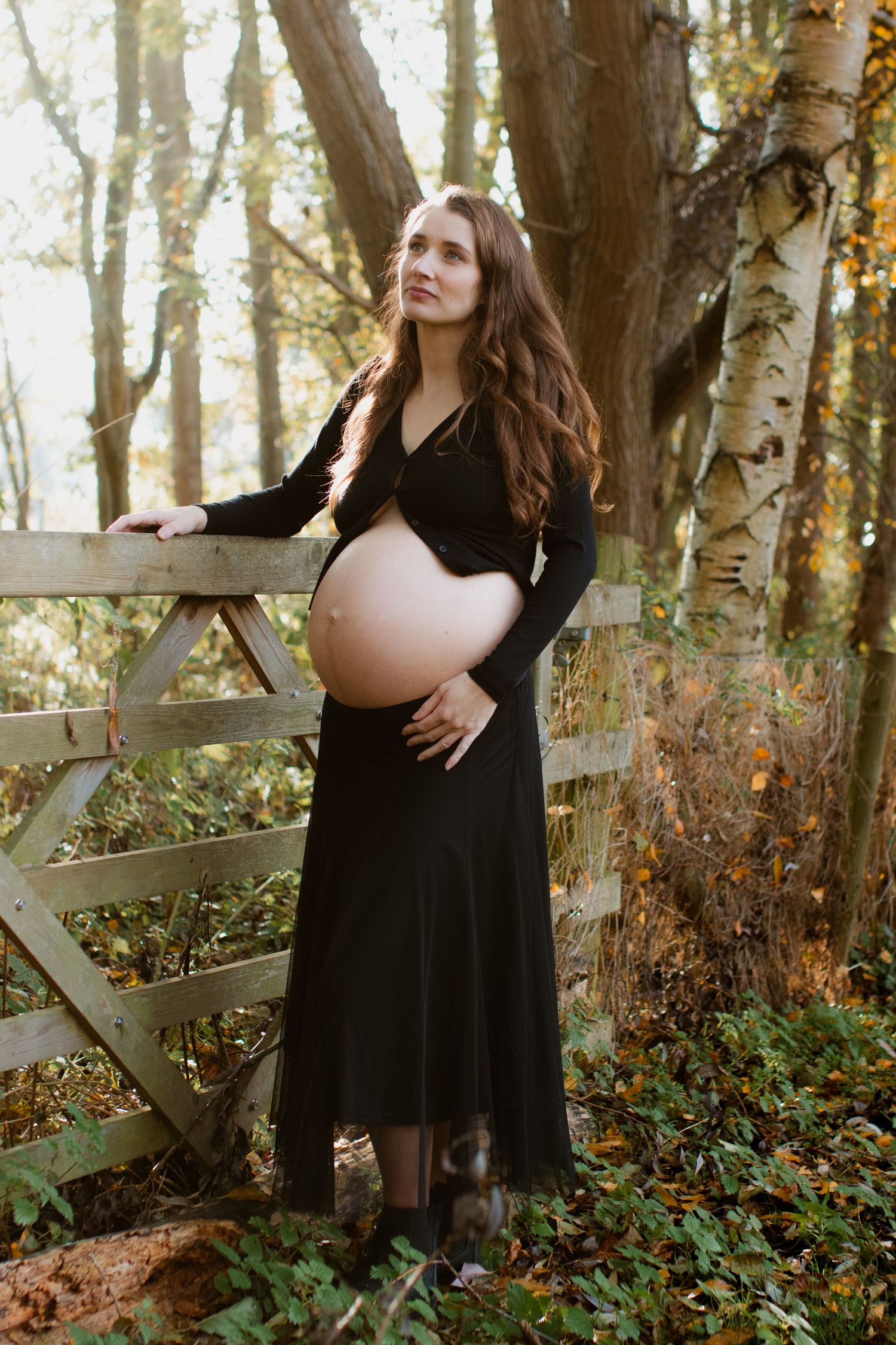 Maternity portraits in a wooded setting with autumn leaves and a rustic fence.
