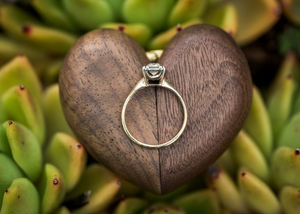 Wedding ring displayed on a smooth brown stone with green succulent plants in the background.