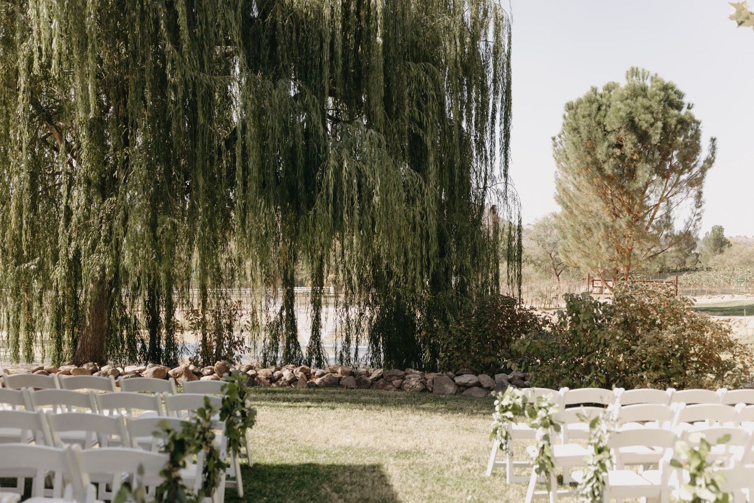 Wedding ceremony site with weeping willow trees creating natural canopy over guest seating.