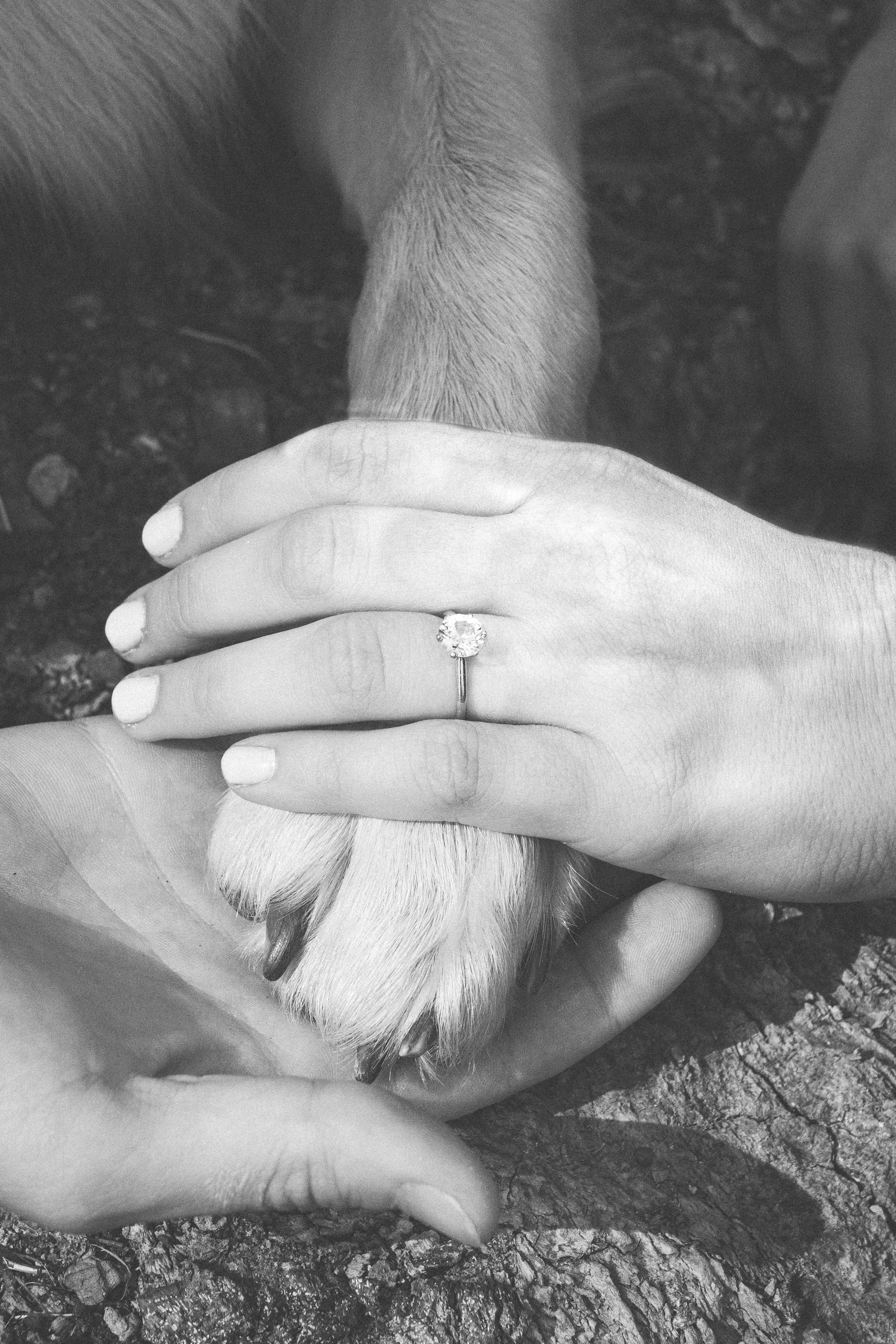 Black and white photo series showing a diamond engagement ring being placed on a hand in multiple steps.