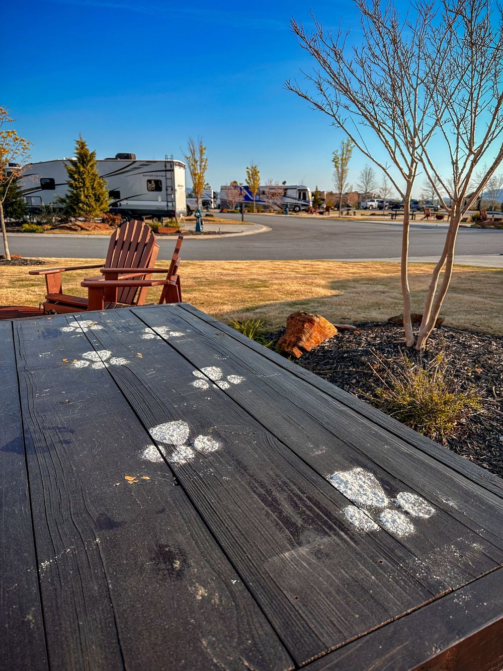 Dark wood picnic table with white paw prints, red Adirondack chair, and RV park landscape under a clear blue sky.