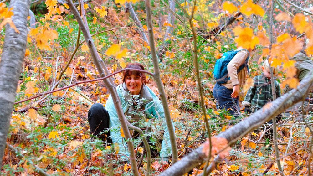 Two hikers foraging through dense autumn woodland with yellow and orange fallen leaves.