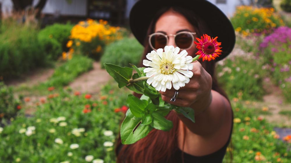 Young woman in sunglasses and hat holding white and red zinnia flowers in a colorful garden.