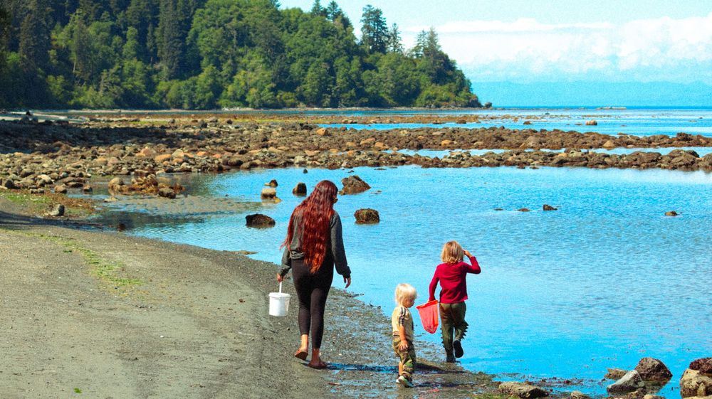 Family walking along a rocky Pacific Northwest beach shoreline, carrying a bucket near calm blue waters.