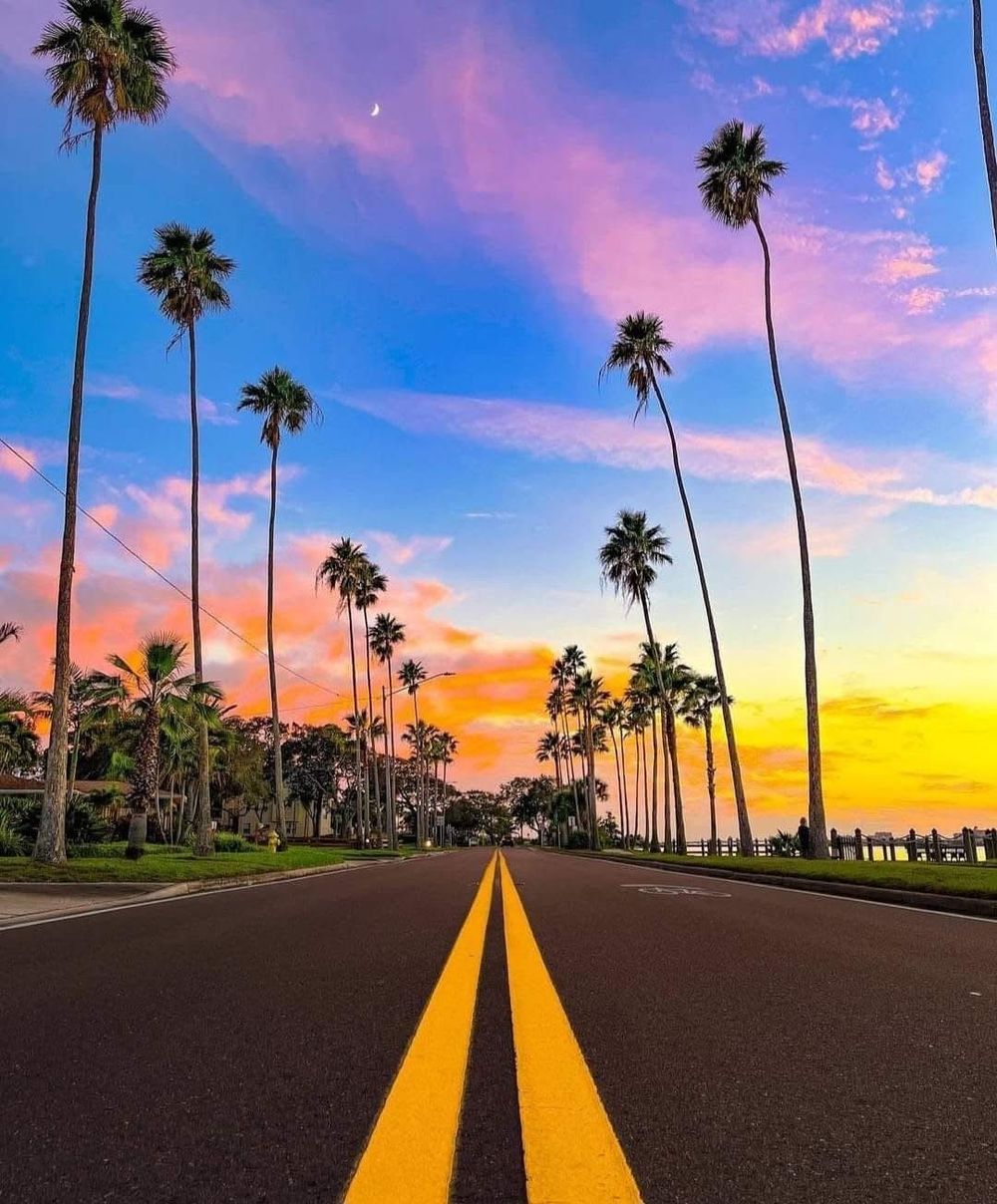 Palm tree-lined road with vibrant pink and orange sunset sky reflecting a tropical coastal destination.