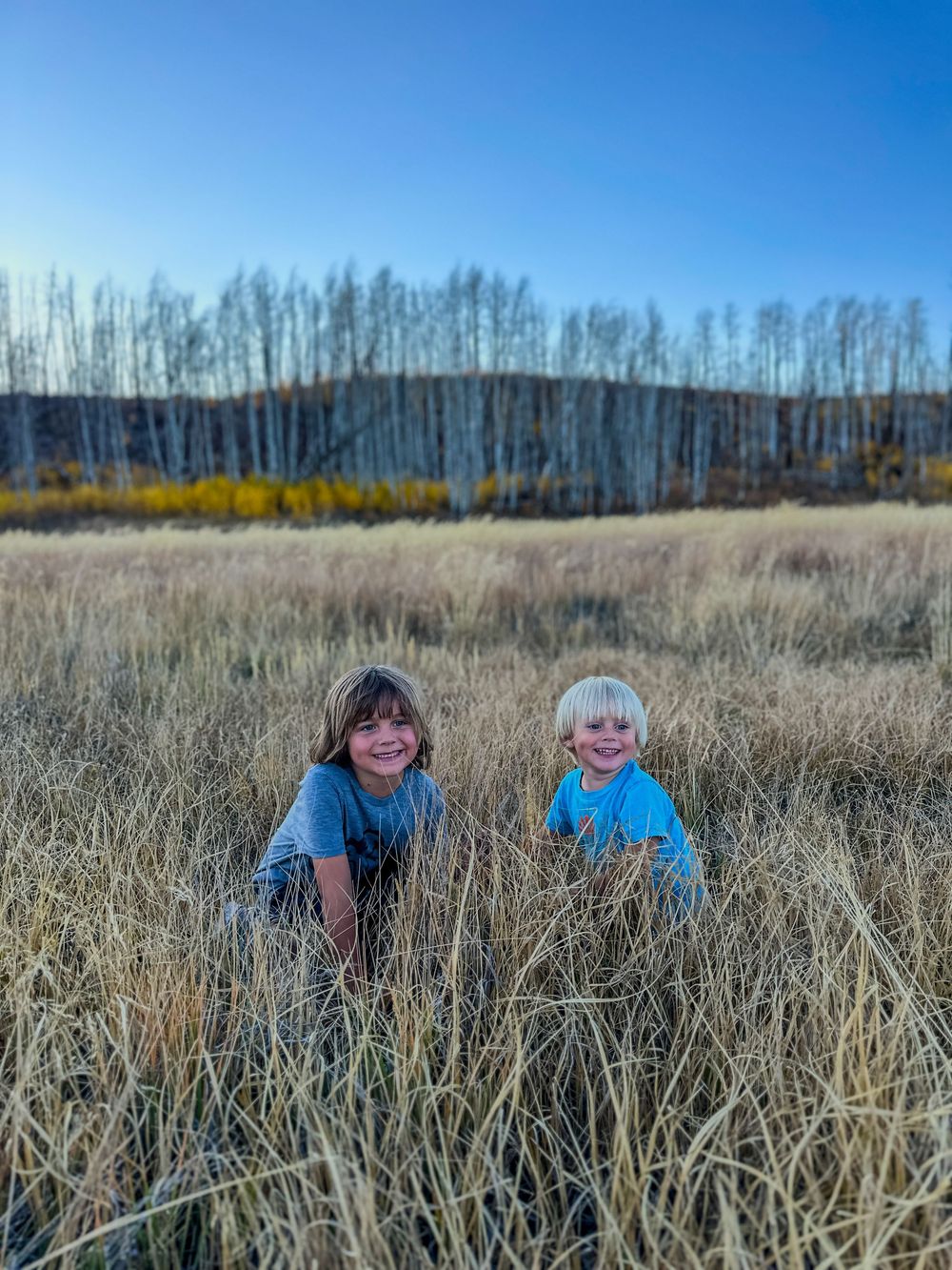 Two smiling children crouch in tall golden grass with autumn aspen trees under a clear blue sky.