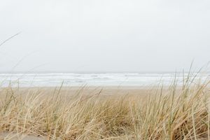 Tranquil seascape with gentle waves and horizon – archival wall art photography for serene homes.