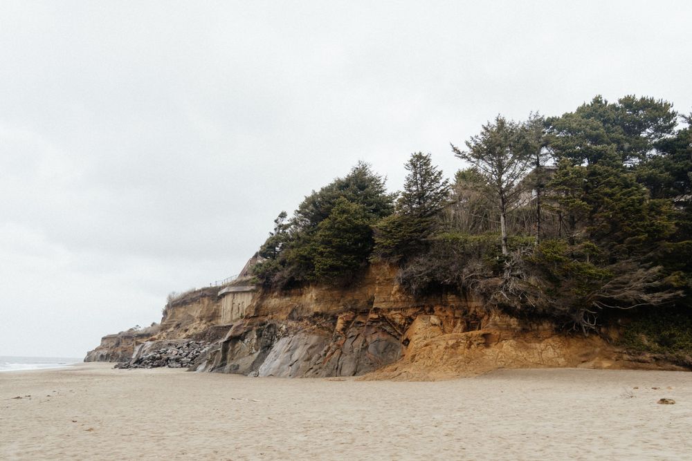 Coastal cliff face with pine trees perched along rocky beach shoreline. Serene shoreline with gentle surf and pastel sky – archival print.