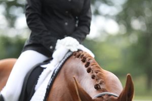 Dressage competition featuring riders in formal attire on horseback.