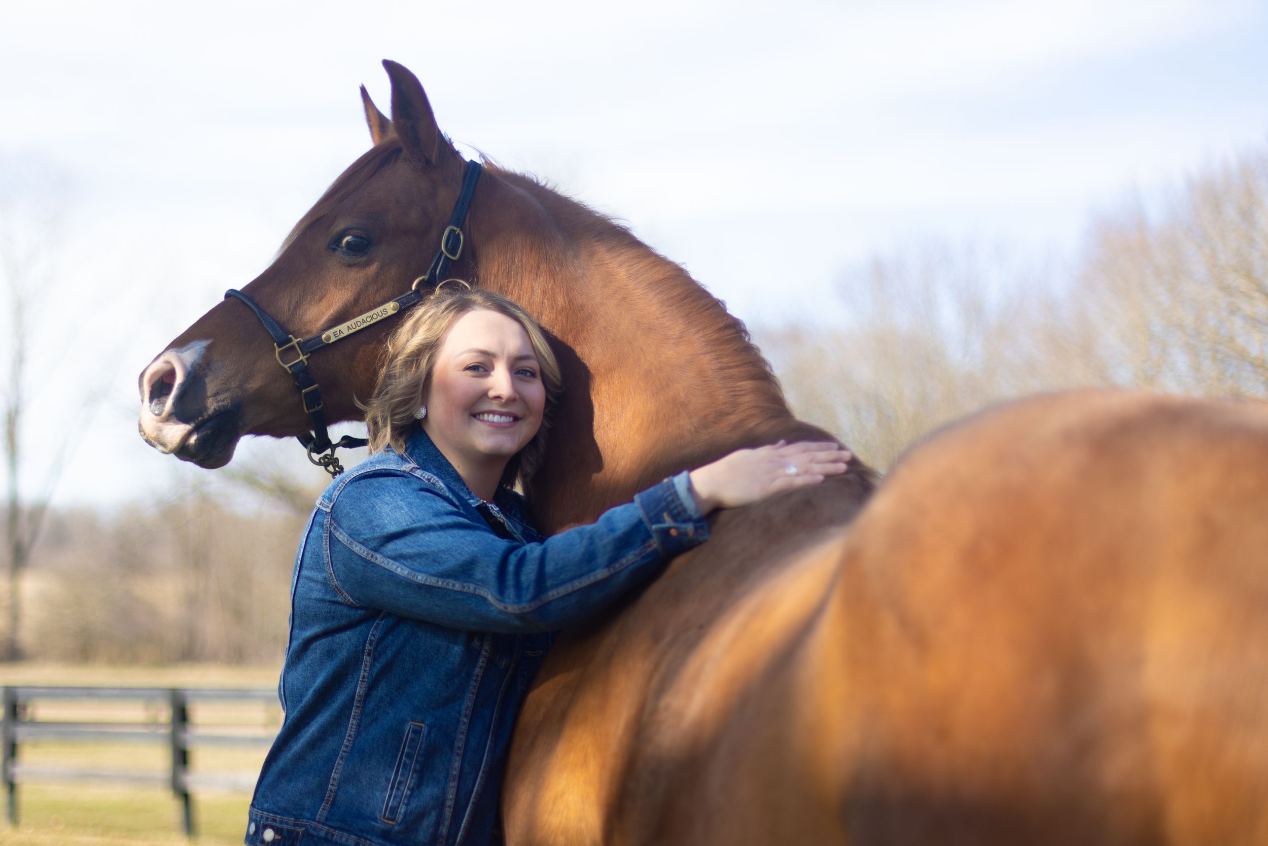 A person interacts affectionately with a brown horse in an outdoor setting.