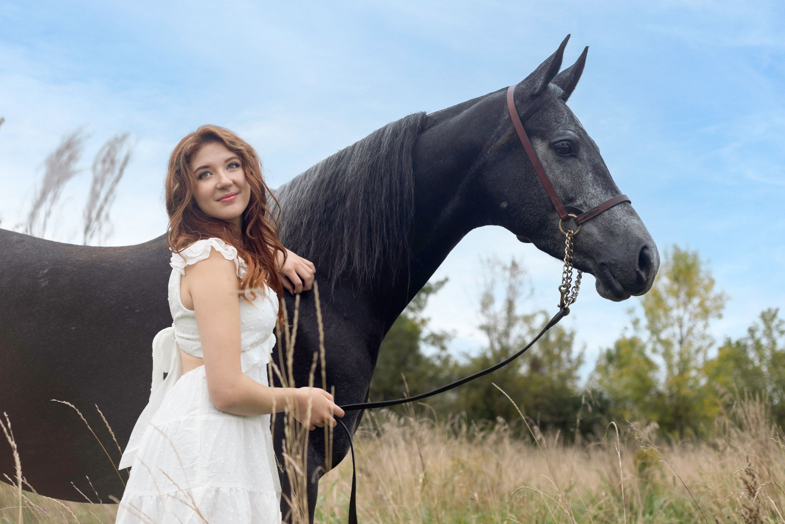 A serene portrait with a majestic dark horse against a natural backdrop.