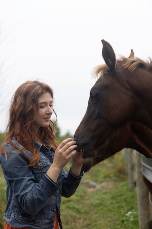 A brown horse and someone in a denim jacket share a gentle moment in a green meadow.