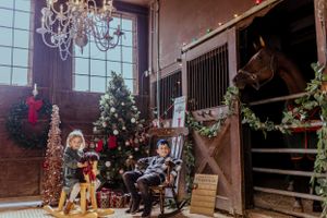 Elegant stable interior with chandelier and decorated stalls during holiday season.
