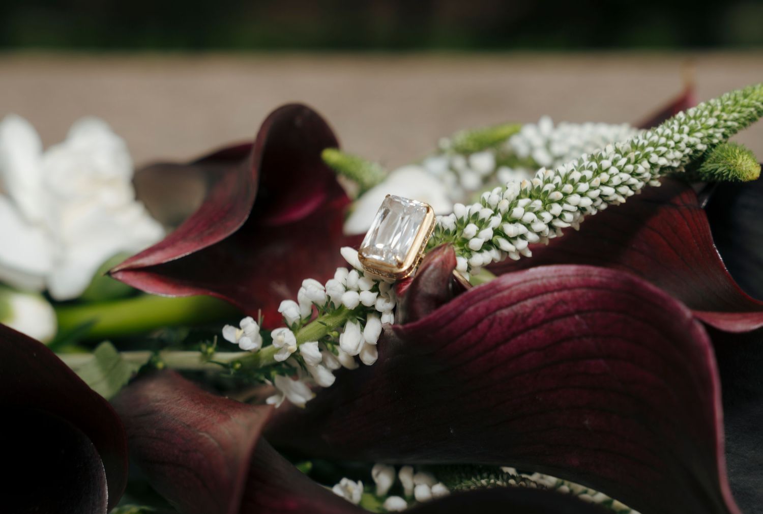 New Jersey documentary wedding photographer
Virginia documentary wedding photographer
DC lifestyle wedding photography