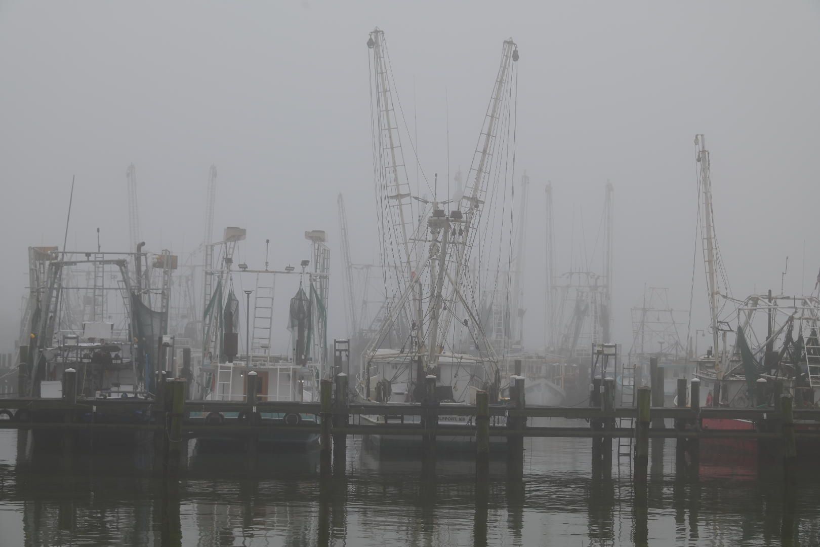 Gulf Coast shrimp boats docked in heavy morning fog Pascagoula Mississippi