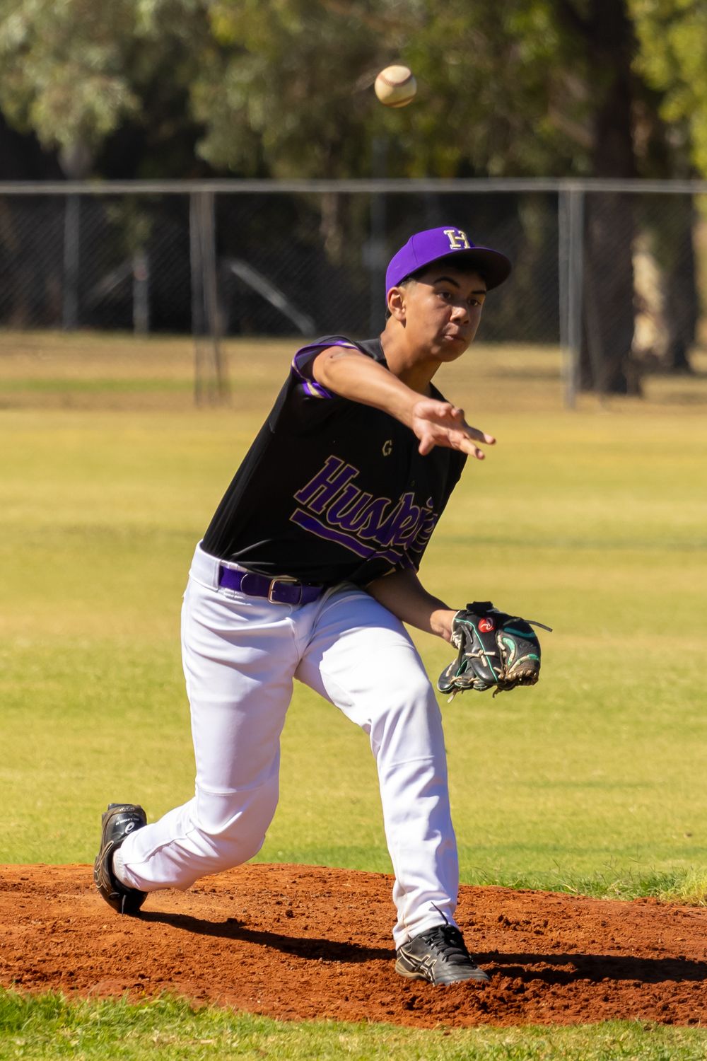 A baseball pitcher in purple Hawks uniform throws a ball on a red dirt mound.