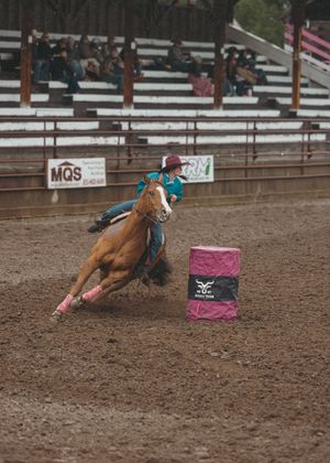 Barrel racer in teal shirt rounding a pink barrel on a palomino horse at a rodeo.
