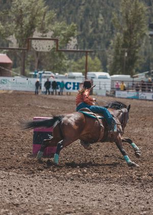 Barrel racer in orange top steering a dark horse around a pink barrel at a rodeo.